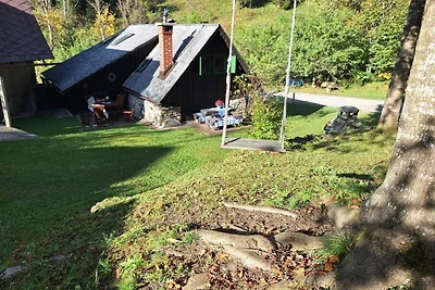 Casa vacanze Vacanza di relax Bad St. Leonhard im Lavanttal