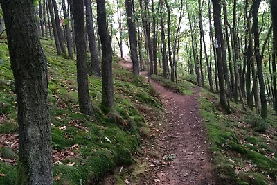 Ferienwohnung Geschwind