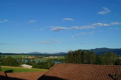 Ferienhaus Nr. 105, Kategorie