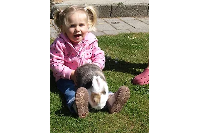 Casa vacanze Vacanza di relax Fehmarn