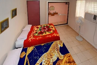 Hostal Esplendor Appartement 2