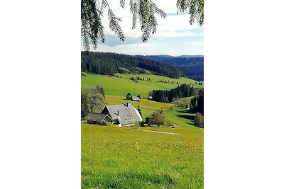 Vakantieappartement Gezinsvakantie Titisee-Neustadt