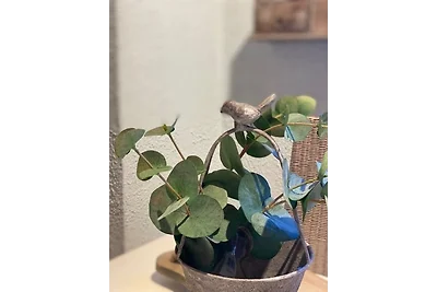 Doppelzimmer deluxe 3