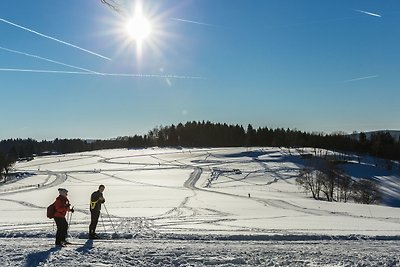 Berghütte Vogtland