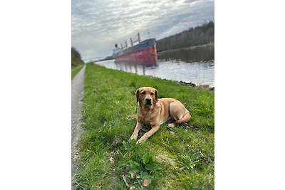Ferienwohnung Frieda