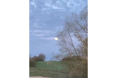 Vakantieappartement Gezinsvakantie Grömitz