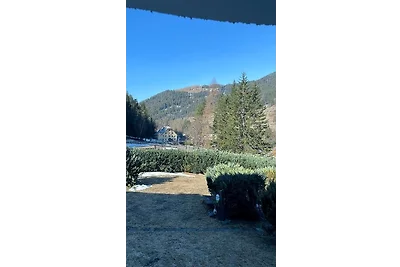 Ferienwohnung Dalmatiner