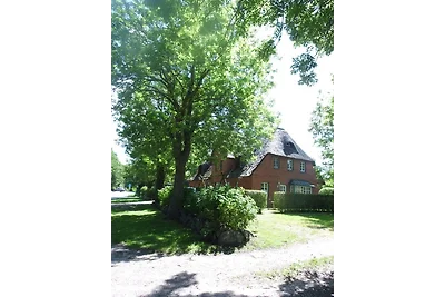 Vakantieappartement Gezinsvakantie Wyk