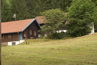 Appartamento Vacanza con famiglia Deggendorf