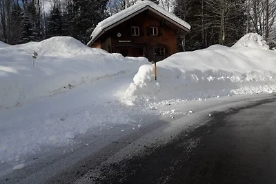 Vakantiehuis Ontspannende vakantie Schnepfau