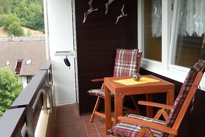 Vakantieappartement Gezinsvakantie Todtmoos