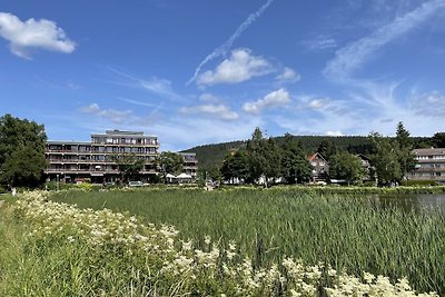 Vakantieappartement Gezinsvakantie Hahnenklee