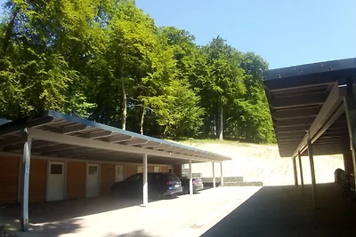 Sellinkoje