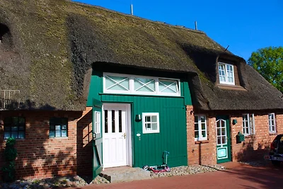 Herzmuschel Herrenhof