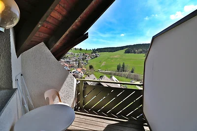 Vakantieappartement Gezinsvakantie Todtnau