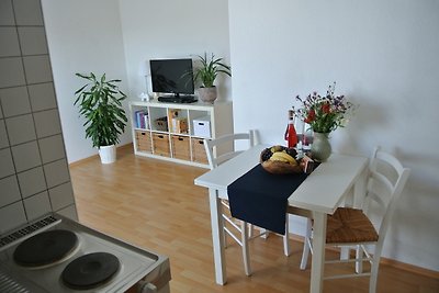 Rheinau Apartment