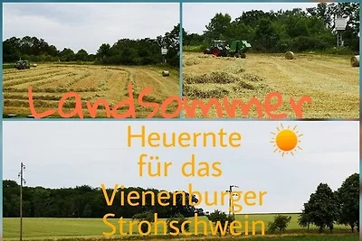 Ferienwohnung Alwine