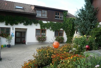 Vakantieappartement Gezinsvakantie Lindau