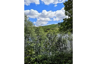 Vakantiehuis Ontspannende vakantie Wolfshagen im Harz