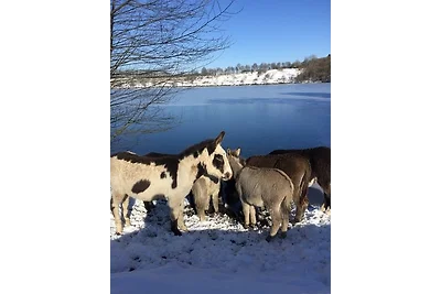Vakantiehuis Ontspannende vakantie Udler