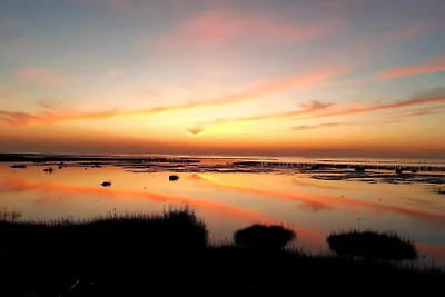 Ferienwohnungen im Koog 2