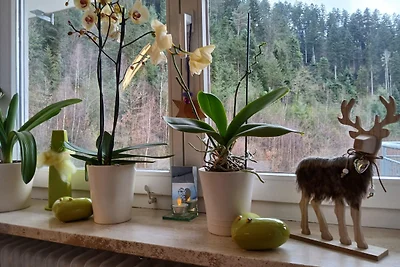 Ferienwohnung Gaby Lehmann