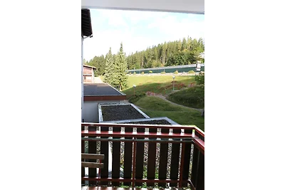 Vakantieappartement Gezinsvakantie Schluchsee
