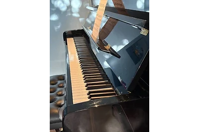 The Pearl of the Storgate