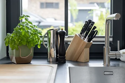 Reetdachhaus Nautilus