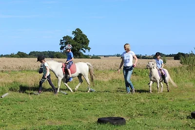 Appartamento Vacanza con famiglia Hasselberg