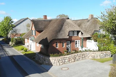 Sütjers Hüs - kleines Nest