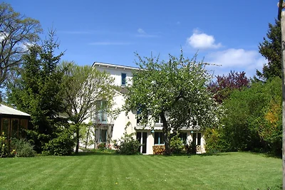 Palms Ferienhaus - Gelb