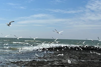 Lichtdurchflutetes Traumhaus 800