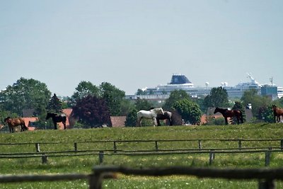 Appartamento Vacanza con famiglia Rostock