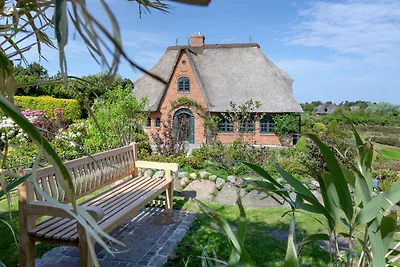 Ferienhaus Hobokenweg 25 b