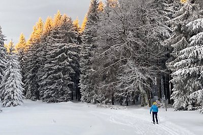 Vakantieappartement Gezinsvakantie Eisfeld OT Waffenrod