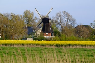 Vakantiehuis Ontspannende vakantie Oldenswort