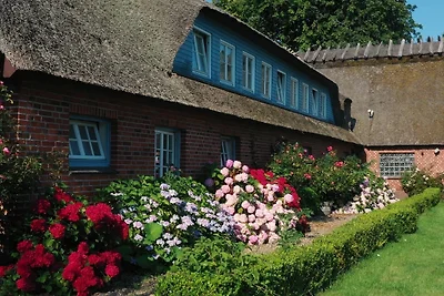 Vakantieappartement Gezinsvakantie Nieby