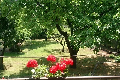 Haus in Budapest mit Garten