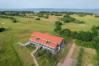 Birdielounge No. 25 - Aurora Vista