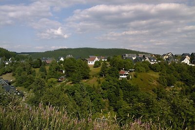 Waldblick