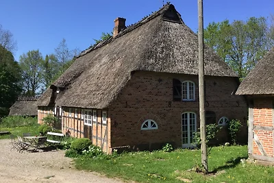 Hof Lücke - Ferienwohnung Natur