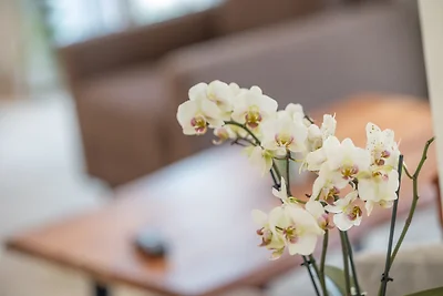 Appartamento Vacanza con famiglia Putbus