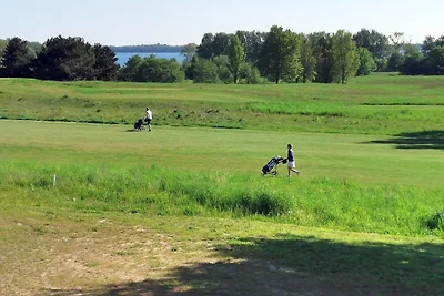 Schwanensee No. 23 - Aurora Vista -