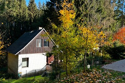 Ferienhaus Erinnerung