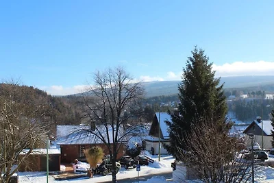 Ferienwohnung Brockenblick -