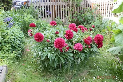 Ferienwohnung Fedler