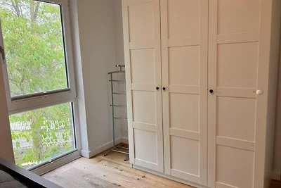Sturmmöwe, Haus an den Salzwiesen