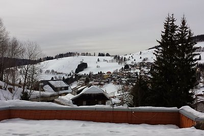Appartamento Vacanza con famiglia Todtnau