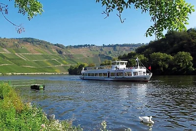 Vakantieappartement Gezinsvakantie Piesport